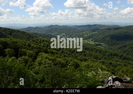 Montuoso del bosco di faggio con tettuccio in dei Carpazi Riserva della Biosfera, Zakarpattia Oblast, Ucraina. Foto Stock