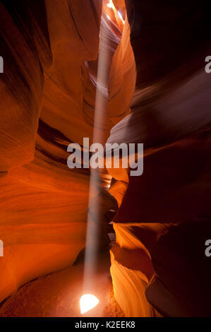 Un albero della luce che illumina l'interno di Antelope Canyon, il parco tribale Navajo, Arizona, Stati Uniti. Foto Stock