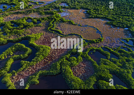 Parco nazionale delle Everglades, veduta aerea della zona umida, Florida, Stati Uniti d'America, gennaio. Foto Stock