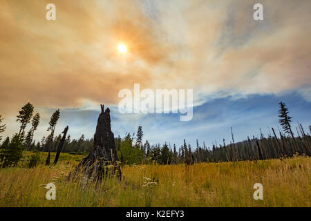 Il fumo proveniente da incendi sovrasta il Hetch Hetchy Regione del Parco Nazionale di Yosemite in California, Stati Uniti d'America. Foto Stock