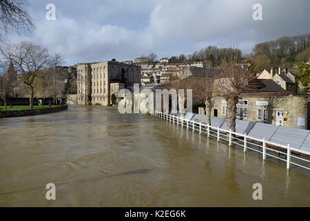 Il fiume Avon nell ondata attraverso Bradford-on-Avon, con emergenza alluvione difese per proteggere gli edifici dalle alluvioni, Wiltshire, Regno Unito, febbraio 2014. Foto Stock