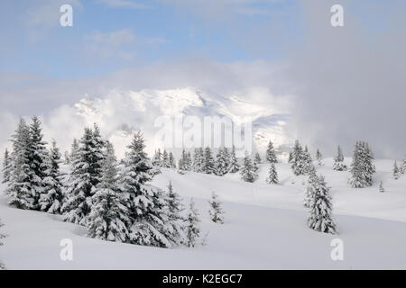 Paesaggio alpino dopo la neve fresca, Hauteluce, Alta Savoia, Francia, febbraio 2013. Foto Stock
