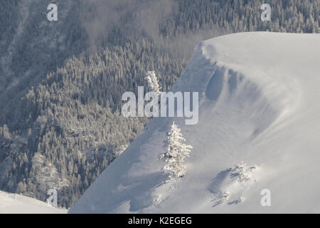 Paesaggio alpino dopo la neve fresca, Hauteluce, Savoie, Francia, febbraio 2013. Foto Stock