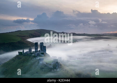 Corfe Castle nella nebbia all'alba, Dorset, England, Regno Unito, novembre 2014, Foto Stock