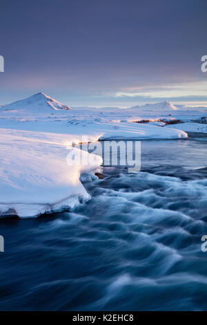 Myvatn a Alba, nord est Islanda, marzo 2016. Foto Stock