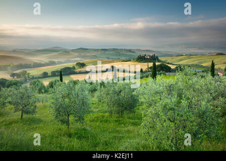 Villa Casanova e la Val d'Orcia all'alba, Toscana, Italia, Giugno 2016. Foto Stock