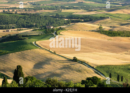 Paesaggio rurale in Val d'Orcia vicino a Pienza, Toscana, Italia, Giugno 2016. Foto Stock