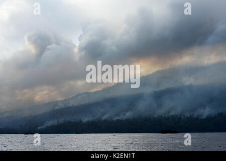 Incendio all'interno del Tangkoko National Park. Il fuoco è durato due settimane, fino a che esso si è estinto da una tempesta dal mare. Sulawesi, Indonesia, ottobre 2015. Foto Stock