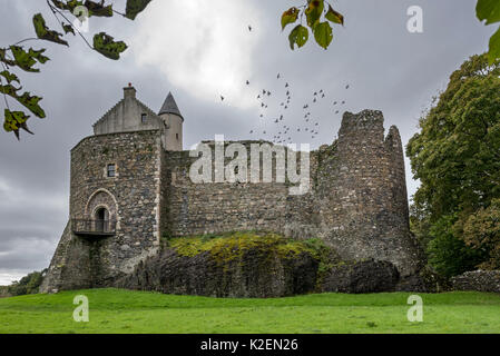 Gli uccelli volano fuori di Dunstaffnage Castle, Argyll and Bute, western Highlands scozzesi, Scozia, Settembre 2016 Foto Stock