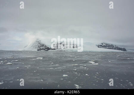 Sturge isola, isole Balleny, Antartide, febbraio. Foto Stock