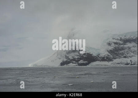 Sturge isola, isole Balleny, Antartide, febbraio. Foto Stock