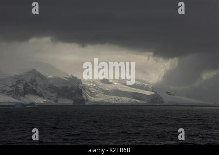 Isola di fibbia, isole Balleny, Antartide, febbraio. Foto Stock