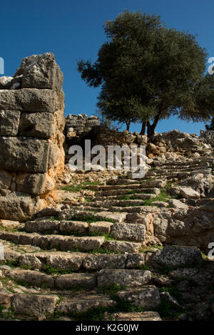 Lato era un Dorian città stato trova costruito in una posizione difendibile affacciato sulla Baia di Mirabello tra due picchi in corrispondenza della costa nord in oriente di Cret Foto Stock