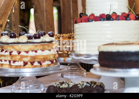 Giorno di nozze che mostra immagini - amore, matrimonio, fiori, dolci e fiori Foto Stock