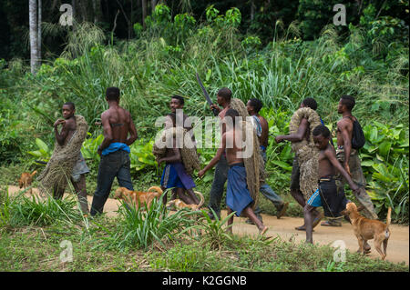 Ba'Kola i pigmei con tradizionale duiker reti da caccia. Mbomo, Odzala-Kokoua National Park, Repubblica del Congo (Congo Brazzaville), Africa, Giugno 2013. Foto Stock