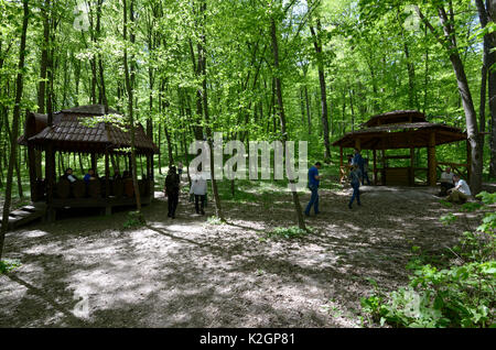 Aprile 29, 2016. Chyhyryn Raion, Oblast di Cherkasy. Un festival annuale di onorare di Kholodny Yar gli Eroi della Repubblica. Foto Stock