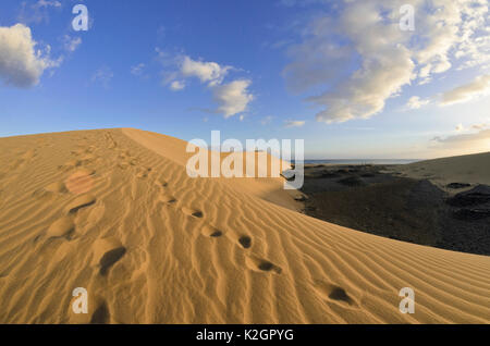 Dune di sabbia in movimento la sera, Maspalomas, gran canaria, Spagna Foto Stock