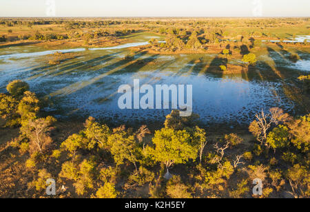 Paludi d'acqua dolce con flussi, i canali e le isole, in tarda serata, vista aerea, Okavango Delta, Moremi Game Reserve, Botswana Foto Stock