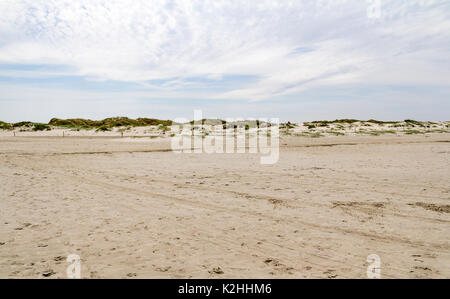 Paesaggi costieri intorno Buesum in Dithmarschen a Schleswig-Holstein, Germania Foto Stock