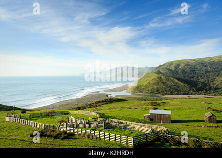 Bella vista ingrandita di ranch edifici e verdi colline lungo l'oceano pacifico Foto Stock