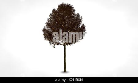 3D rendering di una riflessione astratta golden tree su sfondo bianco Foto Stock