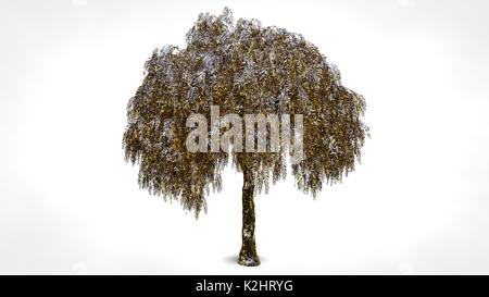 3D rendering di una riflessione astratta golden tree su sfondo bianco Foto Stock