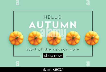 Moderno e alla moda autunno sfondo luminoso con zucca in autunno per la progettazione di poster, volantini banner. Illustrazione Vettoriale Illustrazione Vettoriale