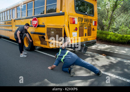 Il conducente di un bus di scuola mostra danni in caso di incidenti per il carrello di traino driver su di una strada nella Laguna Hills, CA. Foto Stock