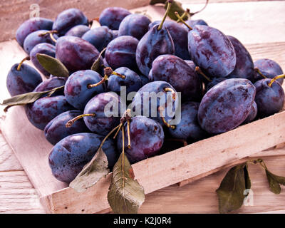 Prugna blu in una scatola di legno su un sfondo di legno fresco succosa grande nuovo raccolto con foglie di colore verde la dieta alimentare utile di frutta Foto Stock