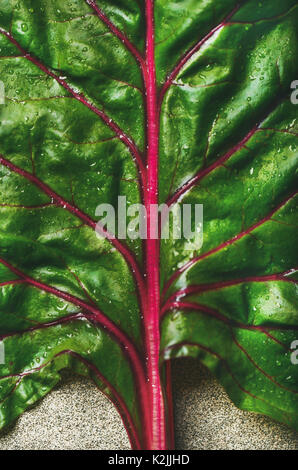 Close-up di fresche bietola foglia verde su cemento grigio sfondo di pietra, vista dall'alto, composizione verticale. Pulire mangiare, vegetariano vegano alcalin Foto Stock