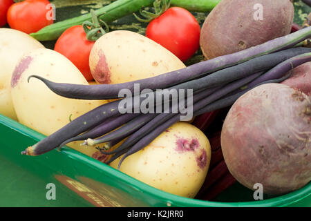Primo piano di verdure crude di veg Inghilterra Regno Unito GB Gran Bretagna Foto Stock