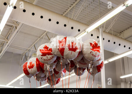 Palloncini bianchi con il Canada bandiera di partito, tempo di celebrare la Giornata del Canada Foto Stock