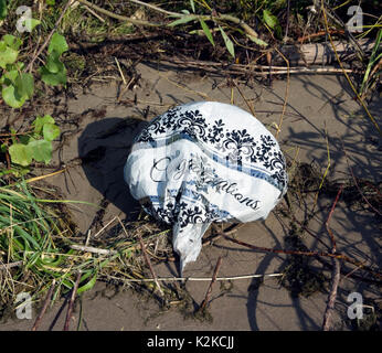 Rilasciato il Mylar palloncini di ritorno a massa, spesso nei laghi e negli oceani. Nella foto è uno degli otto trovato lavato fino all'interno di 700 piedi del lago Michigan litorale vicino a due fiumi, Wisconsin. I palloncini rappresentano un pericolo per la fauna selvatica, come un curioso animali e uccelli possono ingerire alcuni della plastica o impigliarsi nelle allegate nastri. Il Mylar non biodegradabilità, in modo che possano rimanere in ambiente per anni. Foto Stock