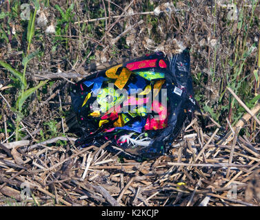 Rilasciato il Mylar palloncini di ritorno a massa, spesso nei laghi e negli oceani. Nella foto è uno degli otto trovato lavato fino all'interno di 700 piedi del lago Michigan litorale vicino a due fiumi, Wisconsin. I palloncini rappresentano un pericolo per la fauna selvatica, come un curioso animali e uccelli possono ingerire alcuni della plastica o impigliarsi nelle allegate nastri. Il Mylar non biodegradabilità, in modo che possano rimanere in ambiente per anni. Foto Stock