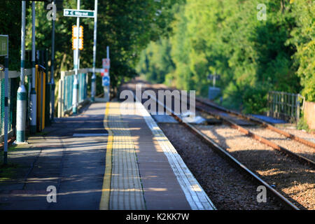 Hamstreet, Kent, Regno Unito. Il 1 settembre 2017. " Commuter " miseria nuovamente sulla Ferrovia Meridionale come RMT iniziare il primo dei due giorni di sciopero, il secondo lunedì 4th. Questa controversia è oltre le protezioni della porta. Ferrovia vuota. Photo credit: Paolo Lawrenson /Alamy Live News Foto Stock