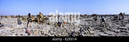 Vulcano Erta Ale danakil depressione di Afar Etiopia Foto Stock