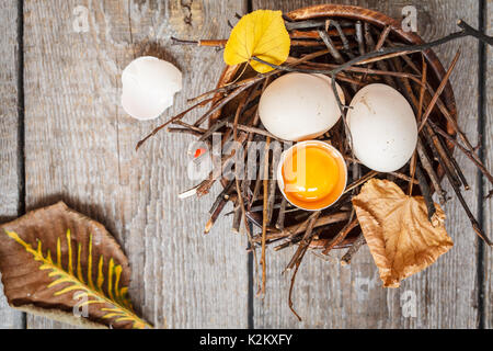 Uova di gallina nel nido, autunno composizione per la cartolina Foto Stock