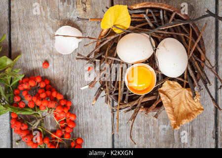 Uova di gallina nel nido, autunno composizione per la cartolina Foto Stock