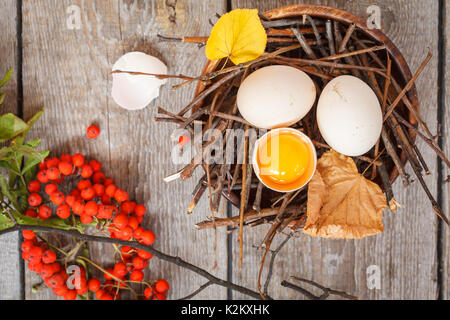 Uova di gallina nel nido, autunno composizione per la cartolina Foto Stock