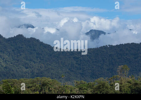 Cloudforest nell'area Tena dell Ecuador Foto Stock