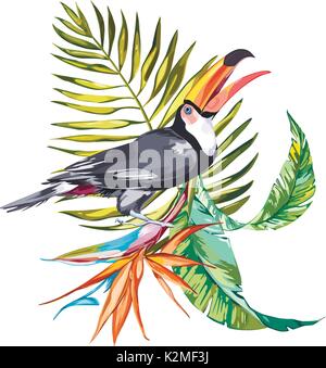 Toucan con fiori tropicali strelitzie e foglia. Elemento per la progettazione di inviti, poster, tessuti e altri oggetti. Isolato su bianco. Illustrazione Vettoriale