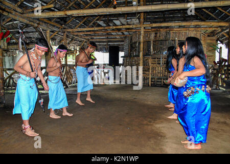 Un gruppo di ballerini Shuar. Essi indossano accessori fatta di semi nel suo corpo. Comunità Shuar. Bucay. Proviince di Guayas. Ecuador Foto Stock