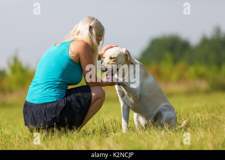 Immagine di un labrador retriever che dà una bella donna la zampa Foto Stock