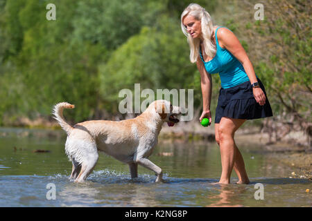 Immagine di una bella donna che gioca con un labrador cane in un lago Foto Stock