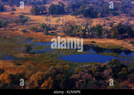 Vista aerea della zona umida in Okavango Delta, Botswana Foto Stock