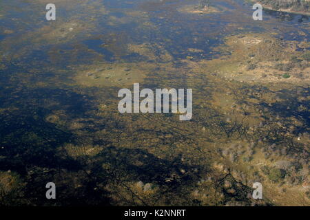 Vista aerea del delta dell'Okavango wetland vicino a Maun in Botswana Foto Stock