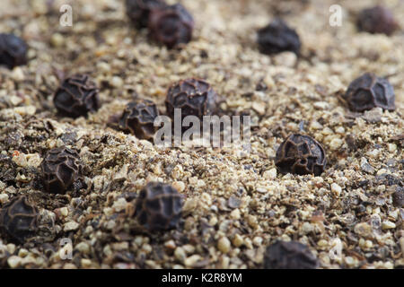 Close up pepe nero in grani e pepe macinato Foto Stock