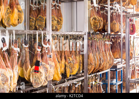 Asciutto e giunti salato di jamon in fabbrica Foto Stock