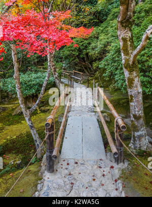 Chisen-kaiyushiki, stagno-passeggiata nel giardino Ginkaku-ji il tempio di Kyoto KYOTO, Giappone - 20 novembre: Chisen-kaiyushiki a Kyoto, in Giappone il 20 Novembre 201 Foto Stock