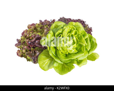 Mazzetto di verde e rosso e insalata di lattuga isolato su bianco Foto Stock